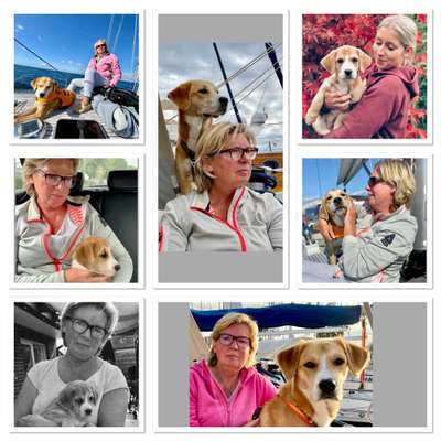 21. Collage Challenge 
Du und dein Hund-Beitrag-Bild