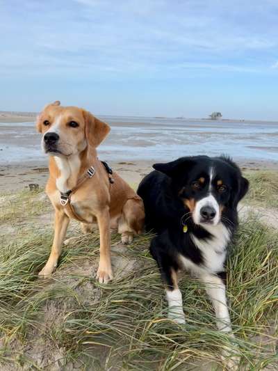 Foto Challenge Nr.: 115-Beitrag-Bild