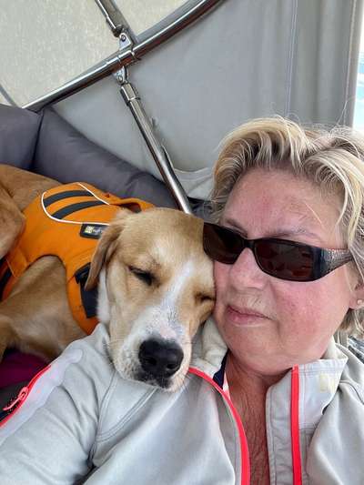 98.Fotochallange  - Hunde zeigen Zuneigung-Beitrag-Bild