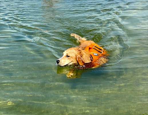 Foto Wettbewerb-Beitrag-Bild