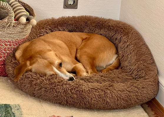 Fotochallange - Eingekugelt-Beitrag-Bild