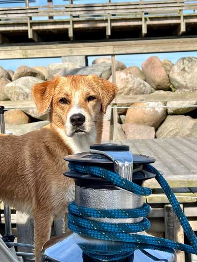 Fotochallenge Nr. 94 It's summer time-Beitrag-Bild