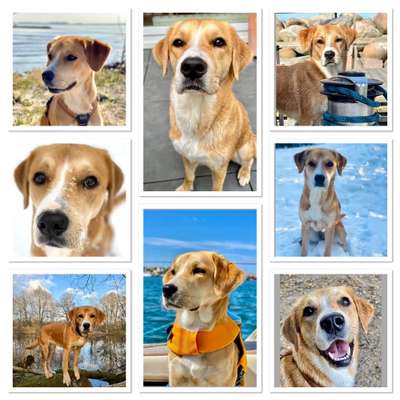 23. Collagen-Challenge: Portraits-Beitrag-Bild