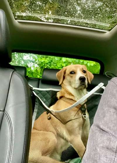 117. Fotochallenge-Beitrag-Bild