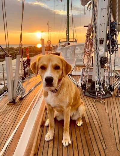 Fotowettbewerb zum Thema "Sonne"-Beitrag-Bild