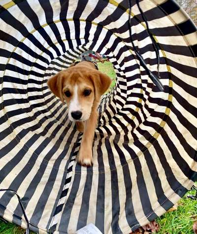 121. Fotochallenge-Beitrag-Bild