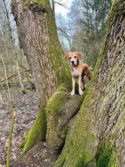 64. Handy Foto Challenge - Hoch hinaus-Beitrag-Bild