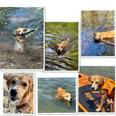 Eure schönsten Fotos mit Wasser-Beitrag-Bild