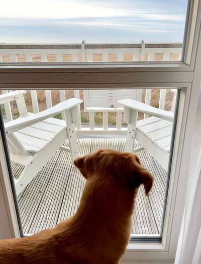 120. Fotochallenge-Beitrag-Bild