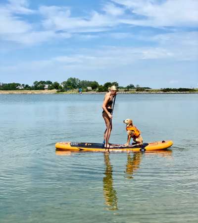 Foto Wettbewerb-Beitrag-Bild