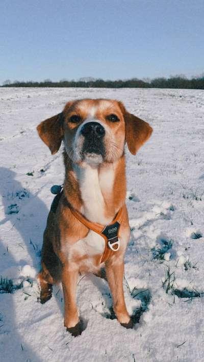 Handy-Foto-Challange Nr.9-Beitrag-Bild