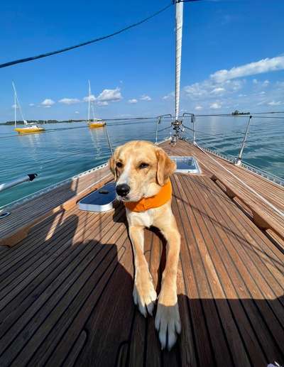 118. Fotochallange-Beitrag-Bild