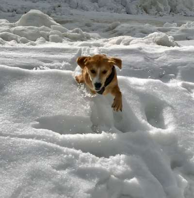 Verspielt-Beitrag-Bild