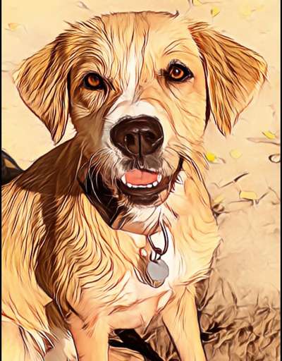 Fotochallenge 124 - Dein Comic-Hund-Beitrag-Bild