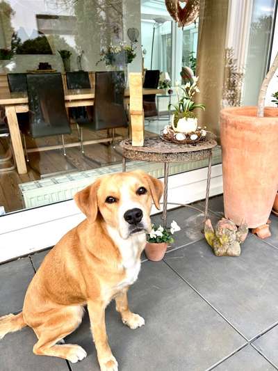 Fotochallenge Nr. 126-Beitrag-Bild