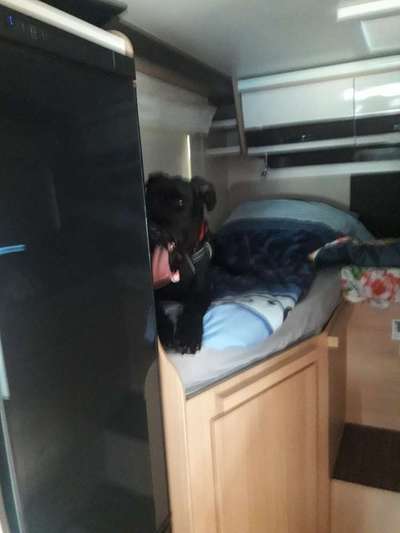 Gemeinsames Kuscheln im Bett!-Beitrag-Bild