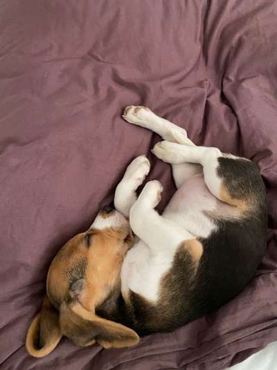 Erstes Bild-Beitrag-Bild