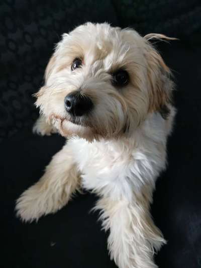 Zahnpflege... putzen, Spray, Gel oder Pulver?-Beitrag-Bild