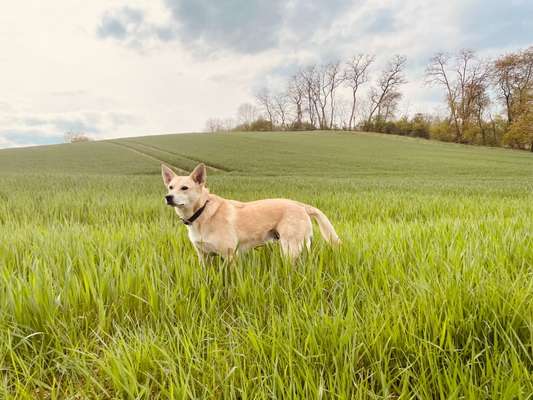 Fotowettbewerb Natur-Beitrag-Bild
