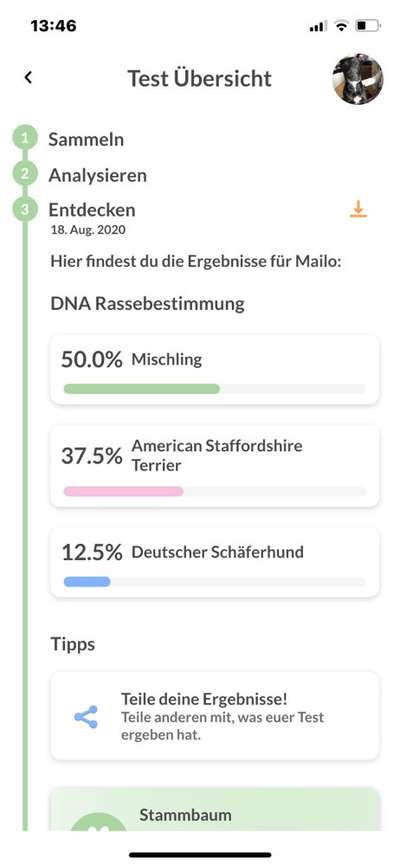 DNA-Tests-Beitrag-Bild