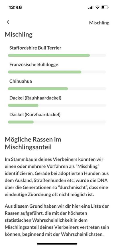 DNA-Tests-Beitrag-Bild