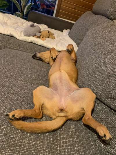 Fotochallenge Nr.65-Beitrag-Bild