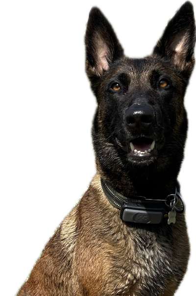 Freddys Kummerkasten-Beitrag-Bild