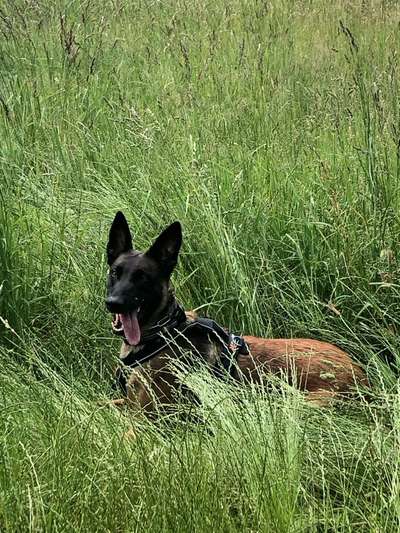 Ach, wie schnell die Zeit vergeht-Beitrag-Bild