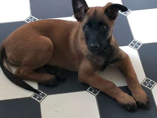 Ach, wie schnell die Zeit vergeht-Beitrag-Bild