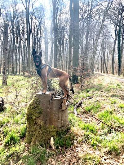 Foto Challenge Nr. 79-Beitrag-Bild