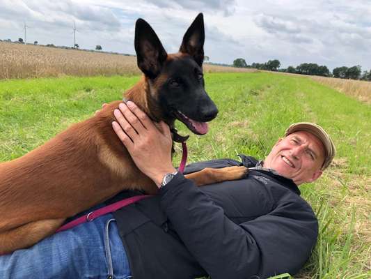 85. Foto Challenge : Schosshund-Beitrag-Bild