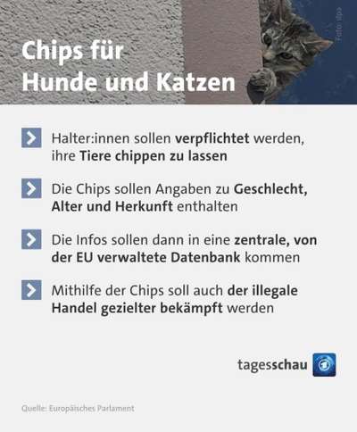 ENDLICH - Ist das der Anfang vom Ende der Qualzucht?-Beitrag-Bild