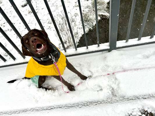 Anpassen bei Minusgraden-Beitrag-Bild