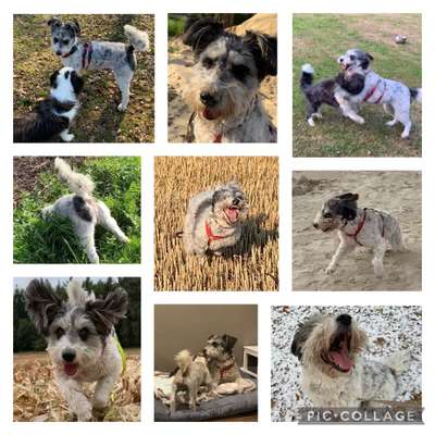 22. Collagen Challenge- Lebensfreude-Beitrag-Bild