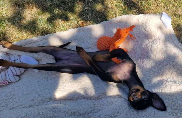 FOTO-Challenge  NR. 91: Die pure Entspannung-Beitrag-Bild