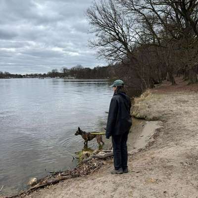 Hundetreffen-Nadel im Heuhaufen - Social Walk-Bild