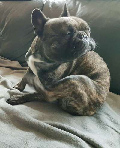 Un...scharf Bilder-Beitrag-Bild