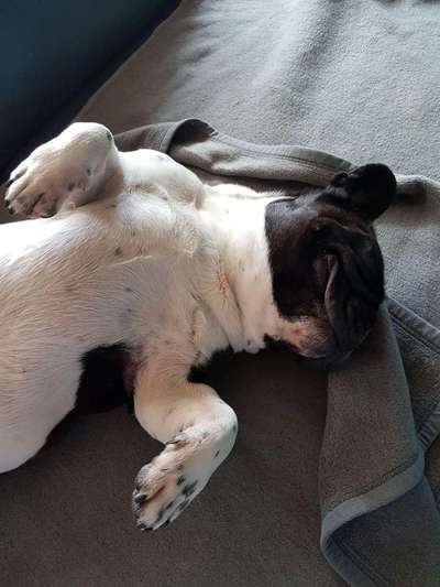 Die unbequemsten und lustigsten Schlafpositionen-Beitrag-Bild