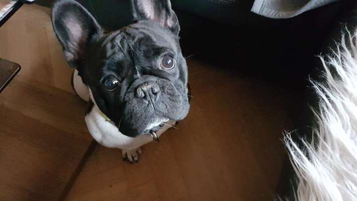 Fotochallange Nr. 57     PORTRÄT.   Beendet!!!!!!!!-Beitrag-Bild