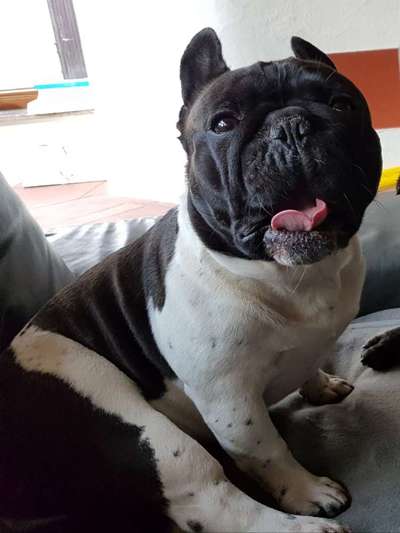 18. Collagen Challenge - Zunge raus!-Beitrag-Bild