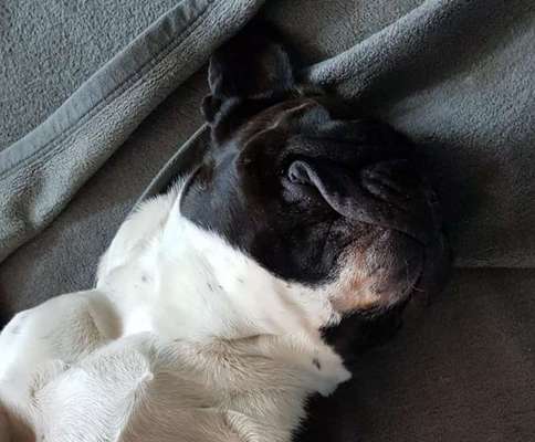 Fotochallenge Nr.122-Beitrag-Bild