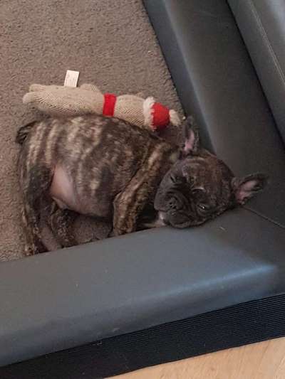 Lieblingsbild :D-Beitrag-Bild