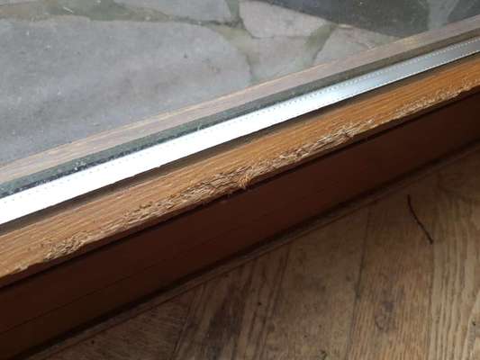 Zeig mir, dass du mit einem hund zusammenlebst....-Beitrag-Bild