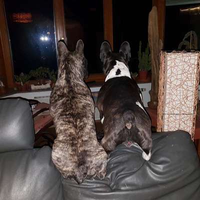 120. Fotochallenge-Beitrag-Bild