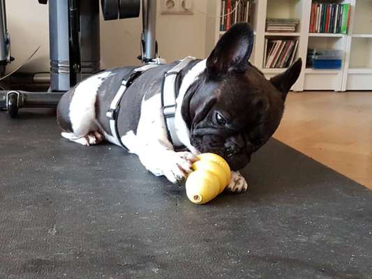 Fotowettbewerb zum Thema "Sonne"-Beitrag-Bild