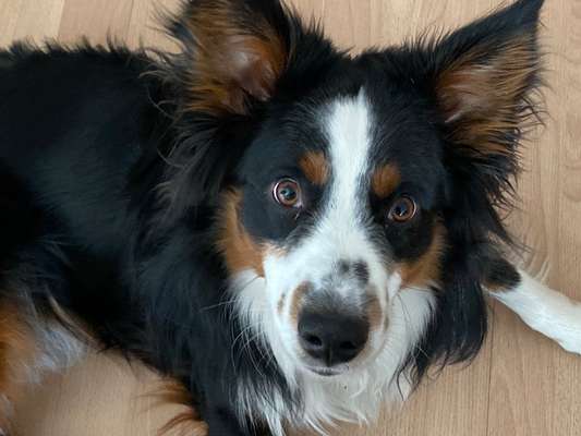 Handy-Foto Challange Nr. 10-Beitrag-Bild