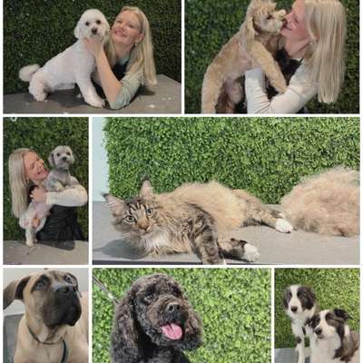 Hundefriseure-immerdar - für alle Felle-Bild