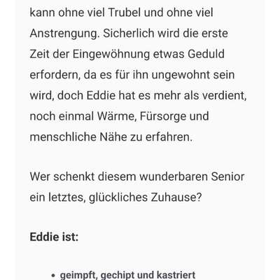 Tierschutzhunde suchen ein Zuhause-Beitrag-Bild