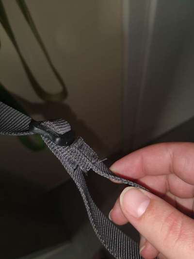 Geschirr Empfehlung-Beitrag-Bild