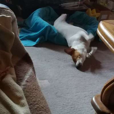 Die unbequemsten und lustigsten Schlafpositionen-Beitrag-Bild